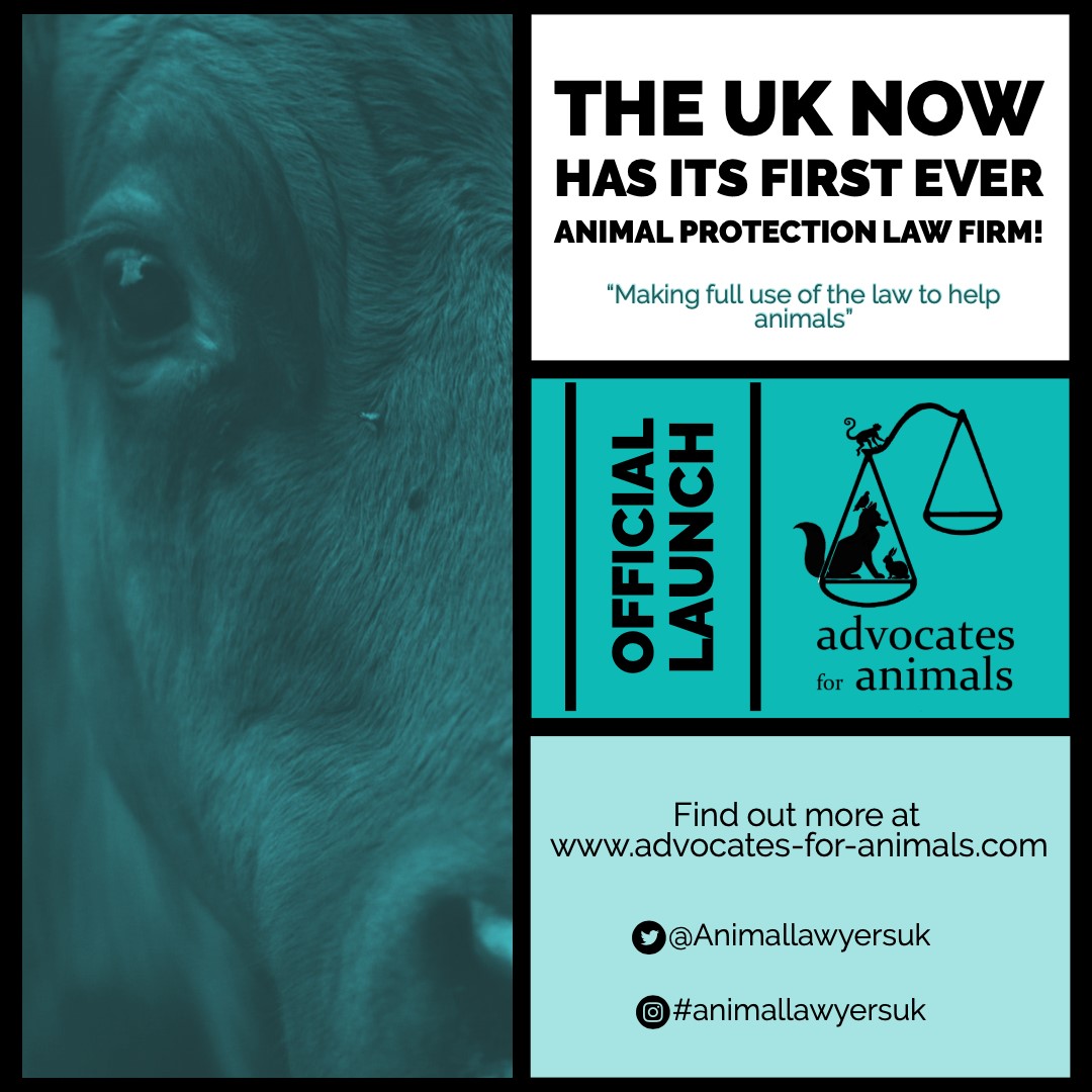 First ever animal protection law firm launched in the UK The Vegan Society